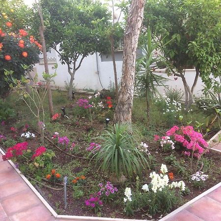 Miriam Short Term Rental Nazareth Bagian luar foto