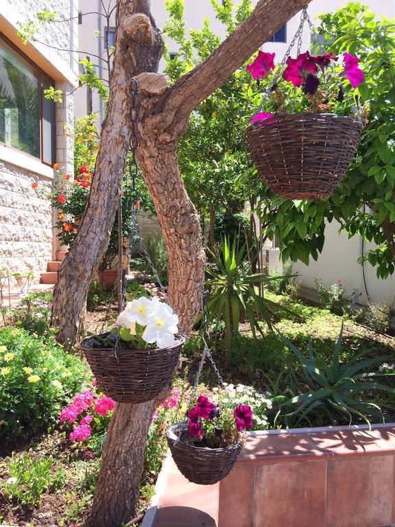 Miriam Short Term Rental Nazareth Bagian luar foto