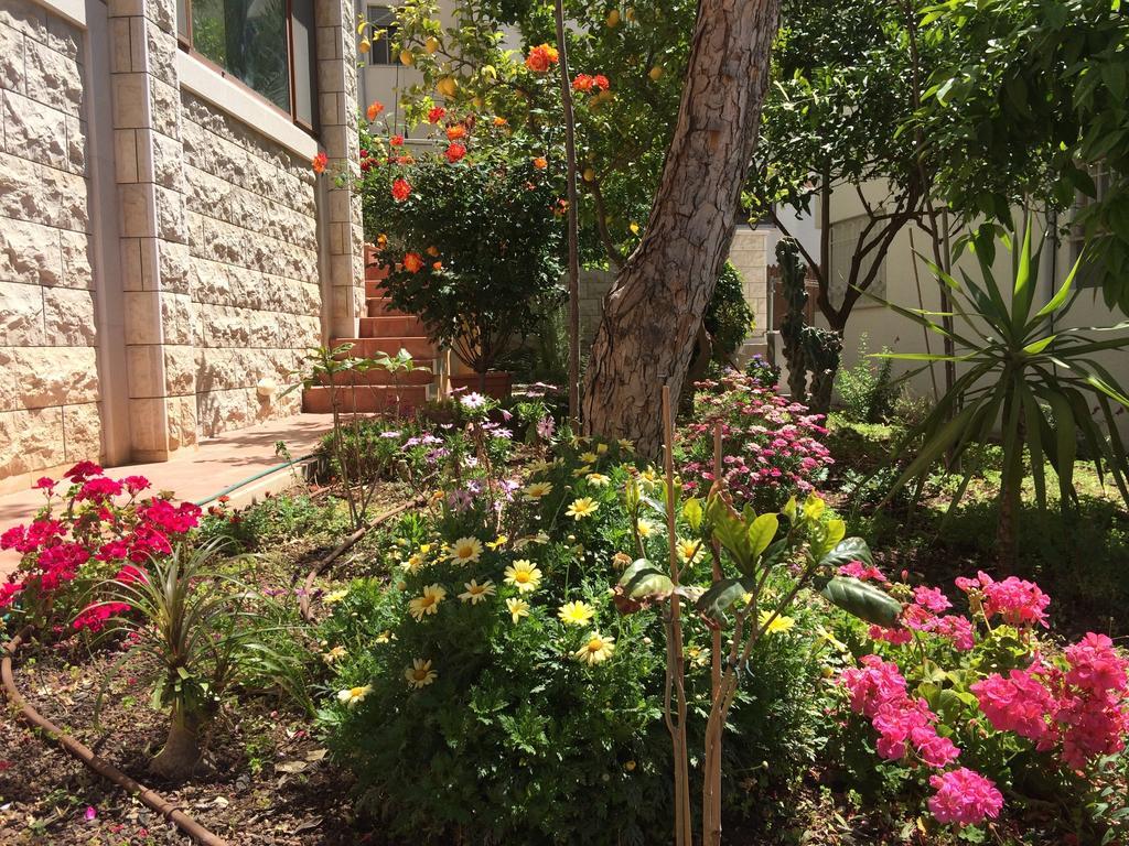 Miriam Short Term Rental Nazareth Bagian luar foto