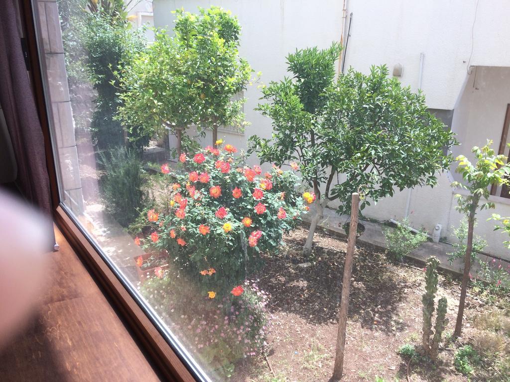 Miriam Short Term Rental Nazareth Bagian luar foto